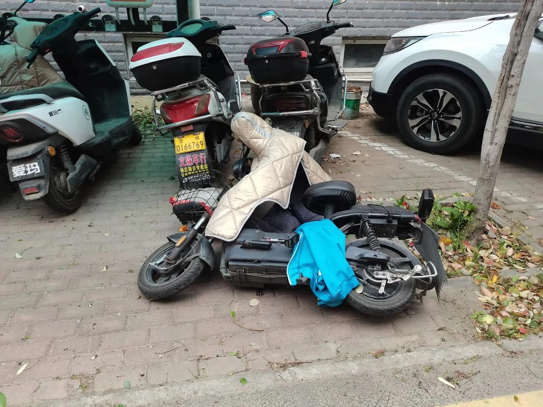 积德与包容 从电车充电说起